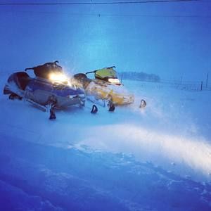 Meet your Posher, Cole